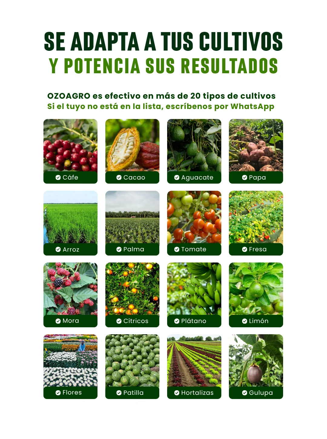 OZOAGRO
